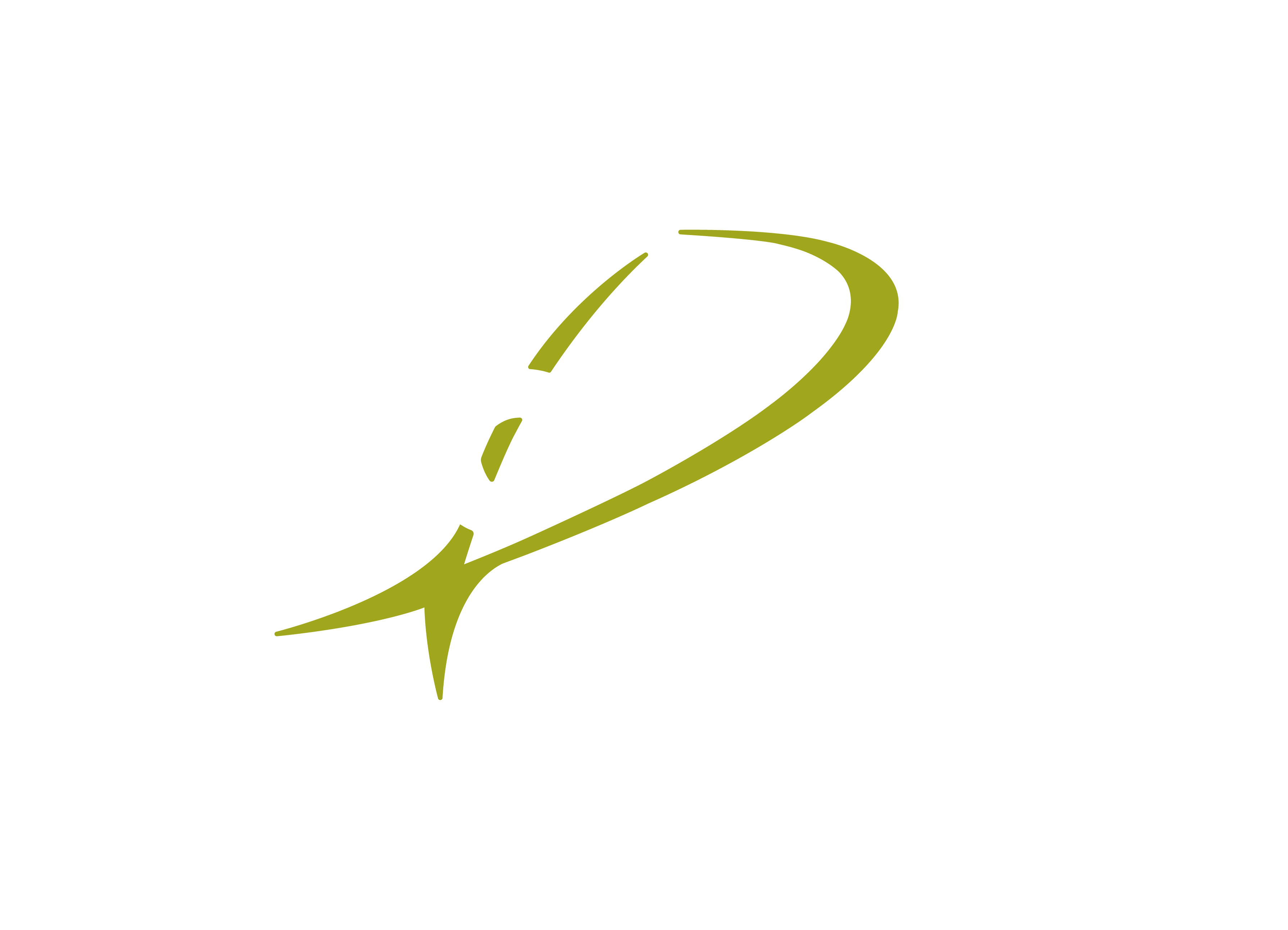 PROCESAMIENTO ESPECIALIZADO DE ALIMENTOS